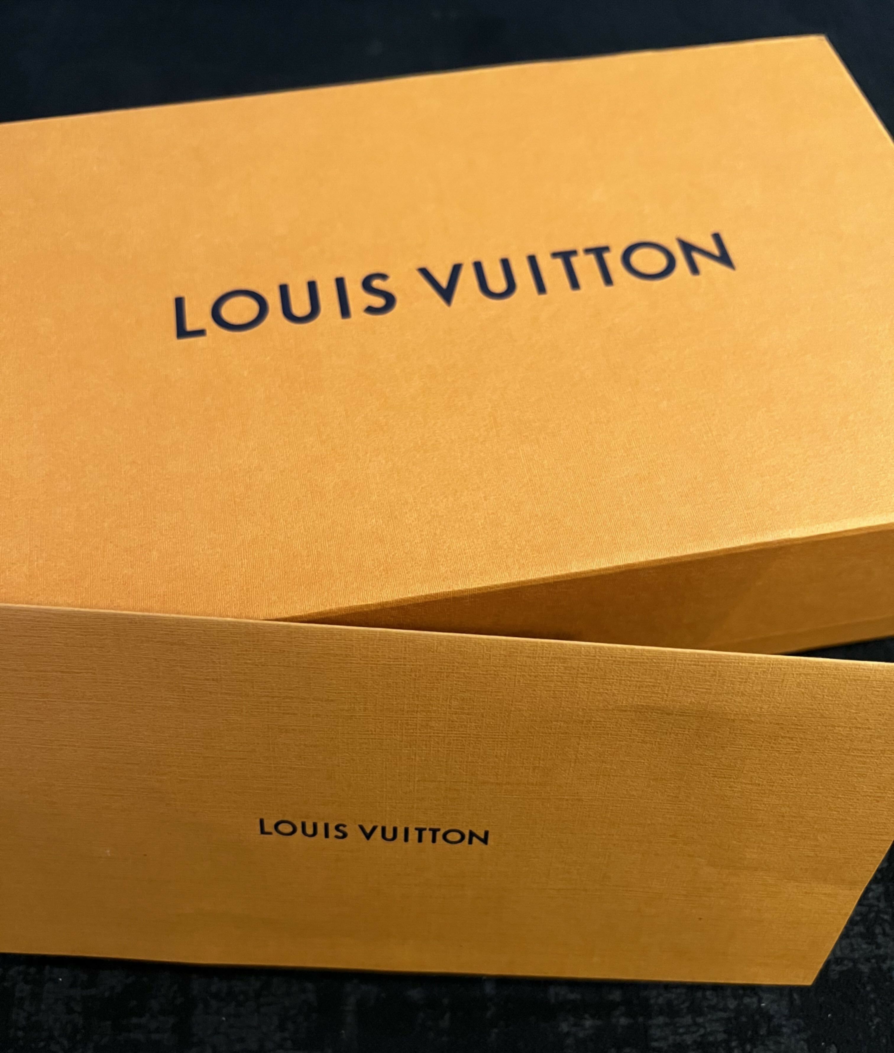Louis Vuitton Nano Speedy / Mini HL 