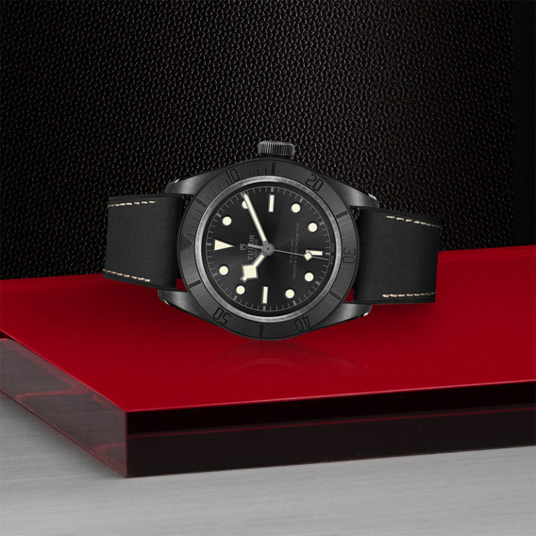 Tudor Black Bay 79210CNU