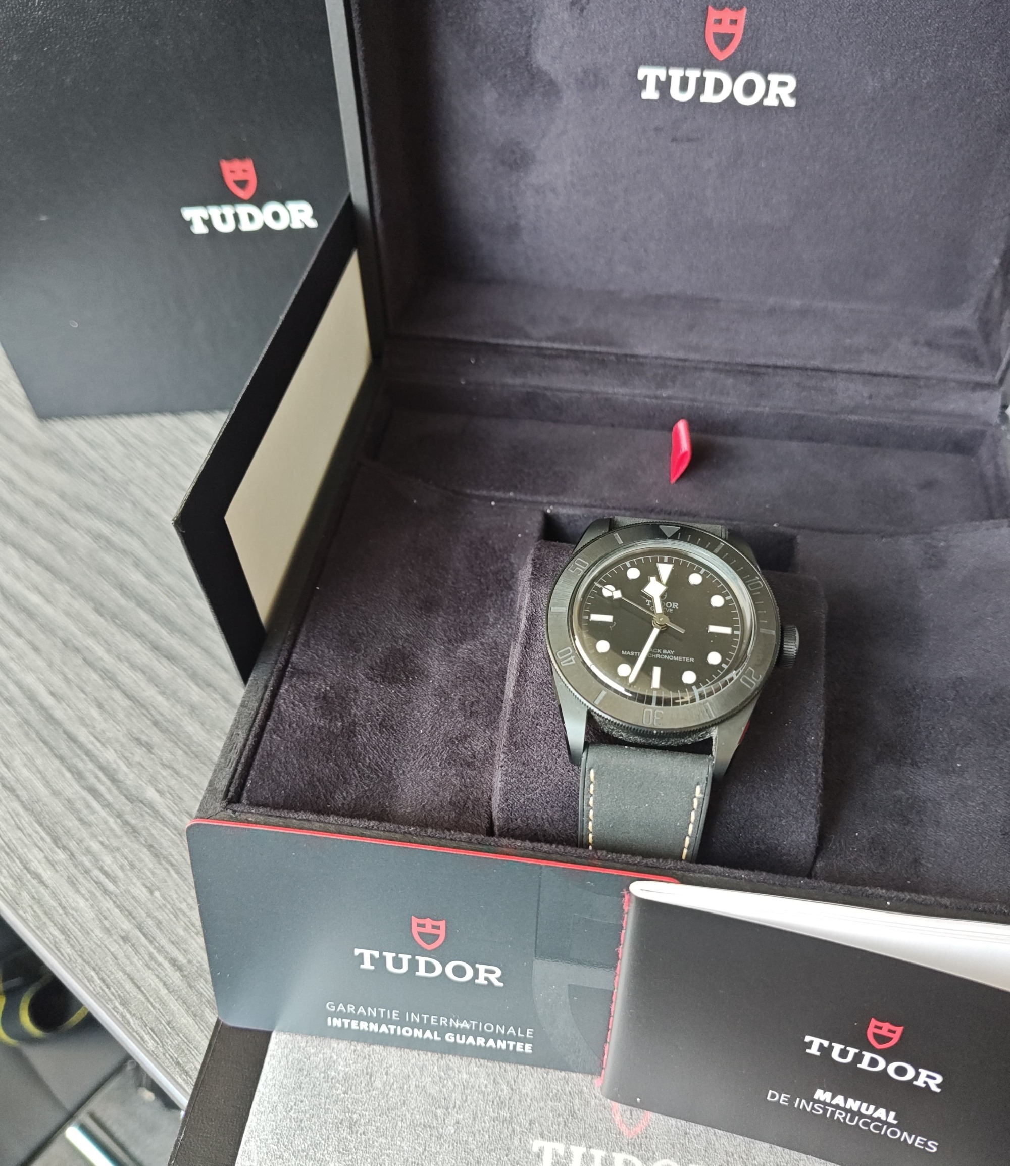 Tudor Black Bay 79210CNU